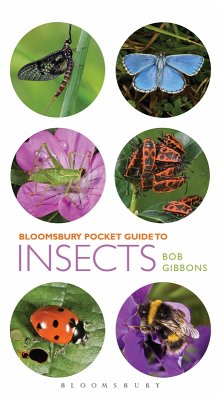 Cover Pocket Guide to Insects (eBook, ePUB)