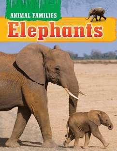 Cover Elephants (eBook, PDF)