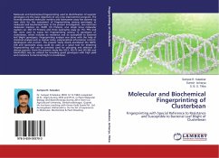 Molecular and Biochemical Fingerprinting of Clusterbean