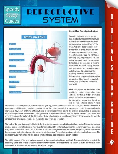 Reproductive System (Speedy Study Guides) (eBook, ePUB)