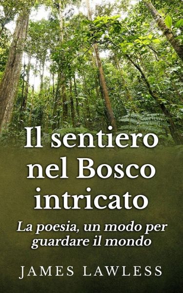Il sentiero nel bosco intricato (eBook, ePUB) Il sentiero nel bosco intricato (eBook, ePUB)