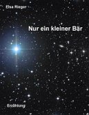 Nur ein kleiner Bär (eBook, ePUB)