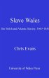 Slave Wales (eBook, ePUB) - Bild 1