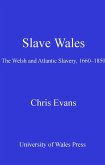Slave Wales (eBook, ePUB)