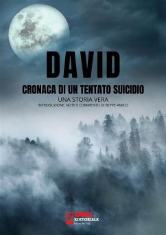 David, cronaca di un tentato suicidio - una storia vera (eBook, ePUB) - David