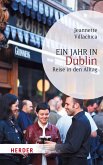 Ein Jahr in Dublin (eBook, ePUB)