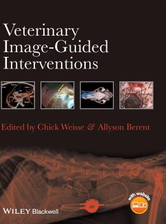 Veterinary Image-Guided Interventions - Weisse, Chick; Berent, Allyson