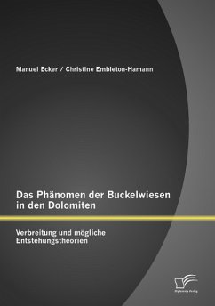 Das Phänomen der Buckelwiesen in den Dolomiten: Verbreitung und mögliche Entstehungstheorien - Ecker, Manuel;Embleton-Hamann, Christine