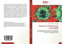 Cover Etude de l'intégrase du virus XMRV