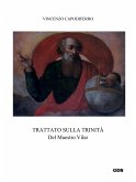 Trattato sullla trinità (eBook, ePUB)