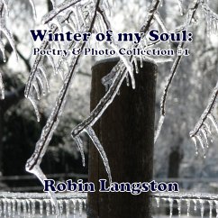 Cover Winter of my Soul