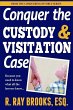 Conquering the Custody and Visitation... - Bild 1
