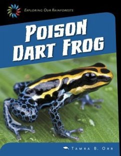 Poison Dart Frog - Orr, Tamra B