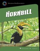 Great Hornbill