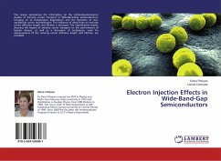 Electron Injection Effects in Wide-Band-Gap Semiconductors - Flitsiyan, Elena;Chernyak, Leonid