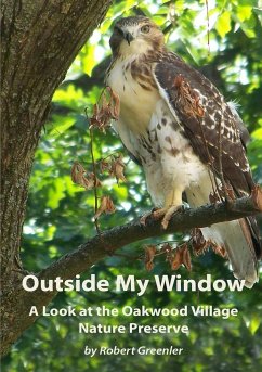 Outside My Window - Greenler, Robert