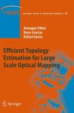 Efficient Topology Estimation for Large Scale Optical Mapping