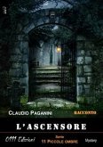 L'ascensore (eBook, ePUB)