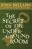 The Secret of the Underground Room