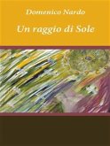 Un raggio di Sole (eBook, ePUB)