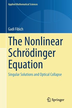 The Nonlinear Schrödinger Equation - Fibich, Gadi