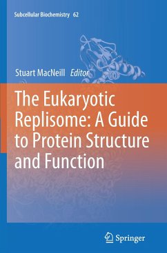 The Eukaryotic Replisome: a Guide to Protein Structure and Function