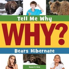 Bears Hibernate - Gray, Susan H