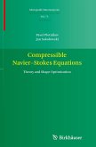 Compressible Navier-Stokes Equations