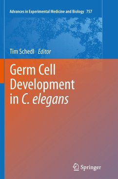 Germ Cell Development in C. elegans