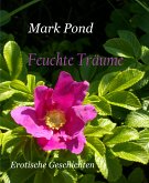 Feuchte Träume (eBook, ePUB)