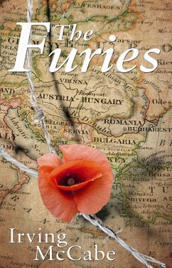 Cover Furies (eBook, ePUB)