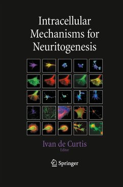 Intracellular Mechanisms for Neuritogenesis