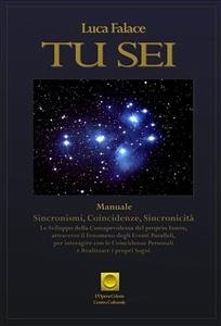 Tu Sei (eBook, ePUB) - Falace, Luca