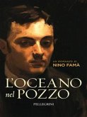 L'oceano nel pozzo (eBook, ePUB)