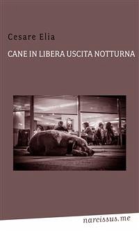 Cane in libera uscita notturna (eBook, ePUB) - Elia, Cesare