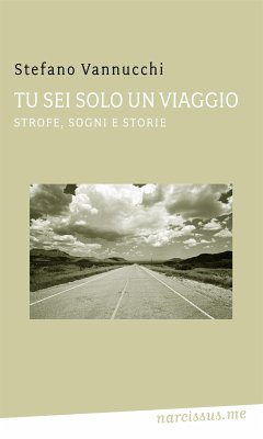 Tu sei solo un viaggio (eBook, ePUB) - Vannucchi, Stefano