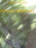 Chissà dove sei (eBook, ePUB)