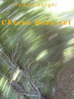 Chissà dove sei (eBook, ePUB) - Borghi, Tiziano