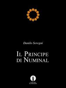 Il principe di Numinal (eBook, ePUB) - Seregni, Danilo