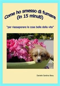 Come ho smesso di fumare (in 15 minuti) (eBook, ePUB) - Santino Bosu, Daniele