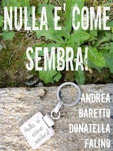 Nulla è come sembra! (eBook, ePUB) - Baretto, Andrea; Falino, Donatella