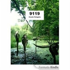 9119 (eBook, PDF) - Pellegatta, Claudio