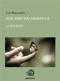 Non sono mai andata via - la vita dopo (eBook, ePUB)