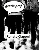 grazie prof (eBook, ePUB)