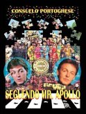 Seguendo Mr. Apollo (eBook, ePUB)