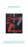 Il cammino dei pellegrini (eBook, PDF)