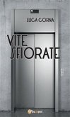 Vite sfiorate (eBook, ePUB)