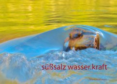 süßsalz wasser-kraft - Tockner, Walter;Stocker, Anna Philomena