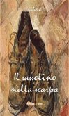 Il sassolino nella scarpa (eBook, ePUB)