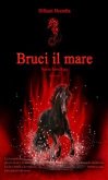 Bruci il mare - Nuova Terra Saga (eBook, ePUB)